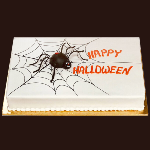Halloween cake with spider and web