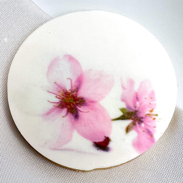 Scanned cherry blossom cookie #4