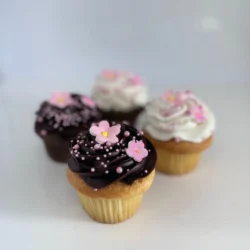 Pink Sprinkle Standard Cupcakes